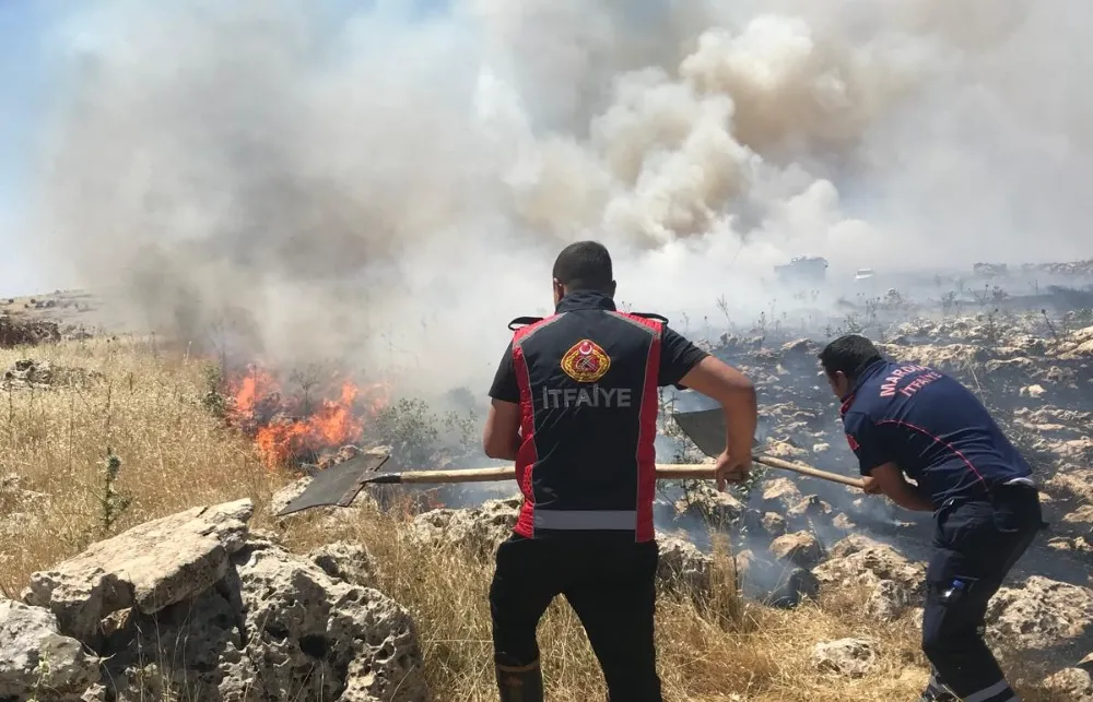 Artuklu İlçesinde Ormanlık alanda çıkan yangın kontrol altına alındı