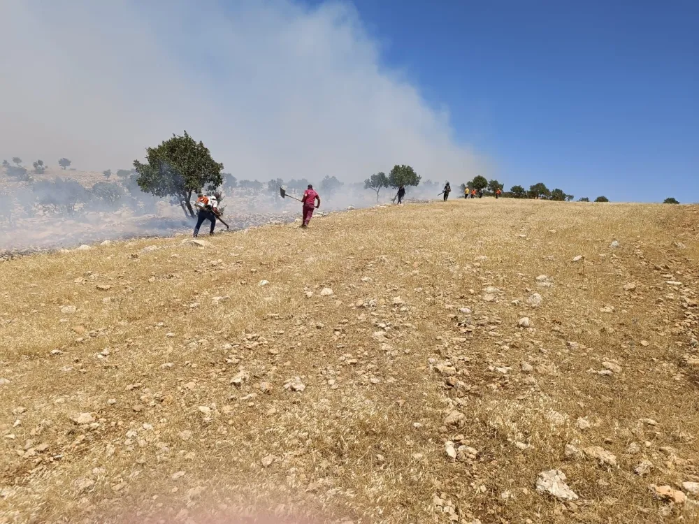 NUSAYBİN KIRSALINDA ARAZİ YANGINI