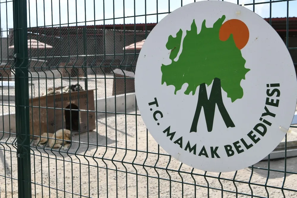 MAMAK BELEDİYESİNDEN  VURULDUĞU İDDİA EDİLEN KÖPEKLERE İLİŞKİN BELGELİ YANIT!