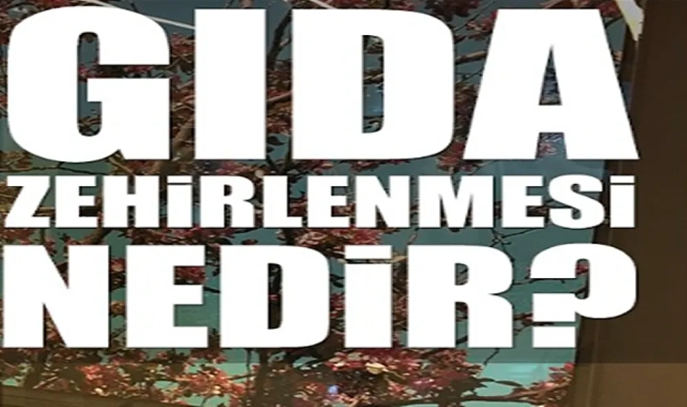 GIDA ZEHİRLENMESİ NEDEN OLUR?