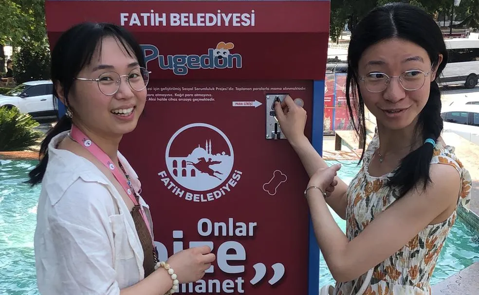Fatih’ te Vatandaşlar 1 TL Karşılığında Sokak Hayvanlarını Besliyor