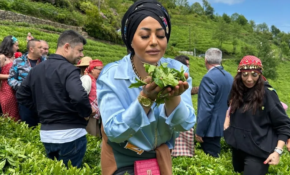 MASTER  CHEF ALLSTAR YARIŞMASI ŞAMPİYONU ESRA TOKELLİ