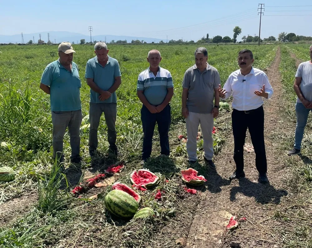 İYİ PARTİ BURSA MİLLETVEKİLİ TÜRKOĞLU;