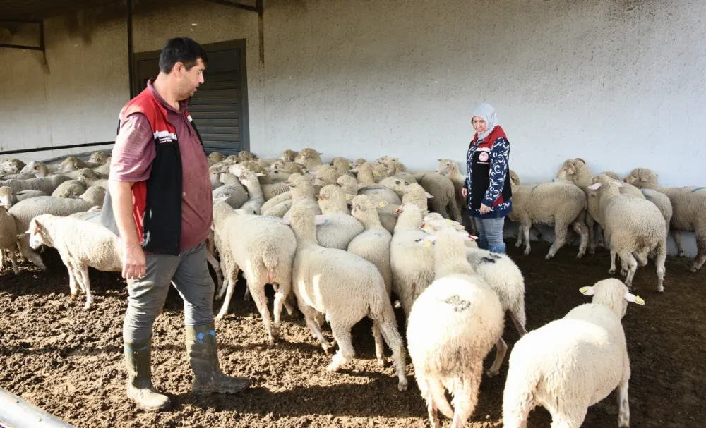 Aliağa’da Üreticiye Destek Sürüyor