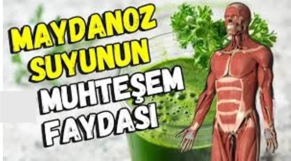 Maydanoz Suyu İçmenin Faydaları 