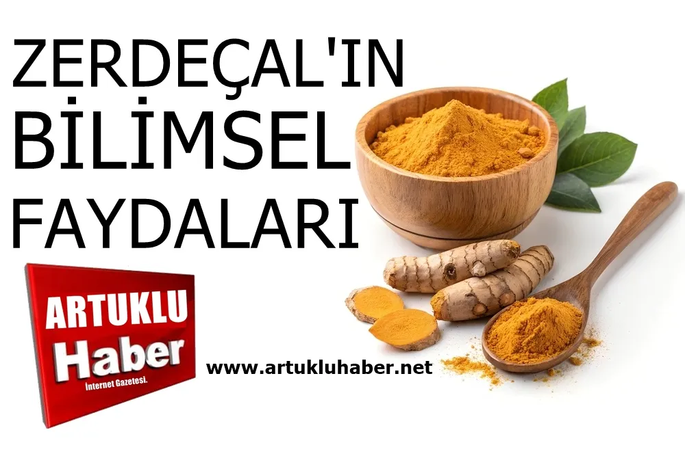 Zerdeçalın ana maddesi kurkumin’in 5 bilimsel faydası!