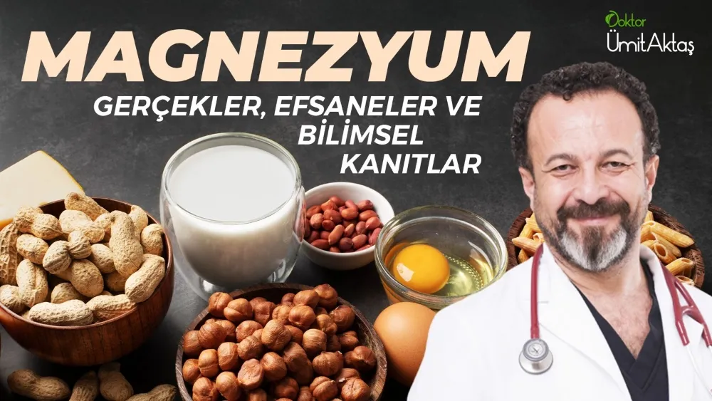 MAGNEZYUMDA ASIL OLAN EMİLİM ORANIDIR
