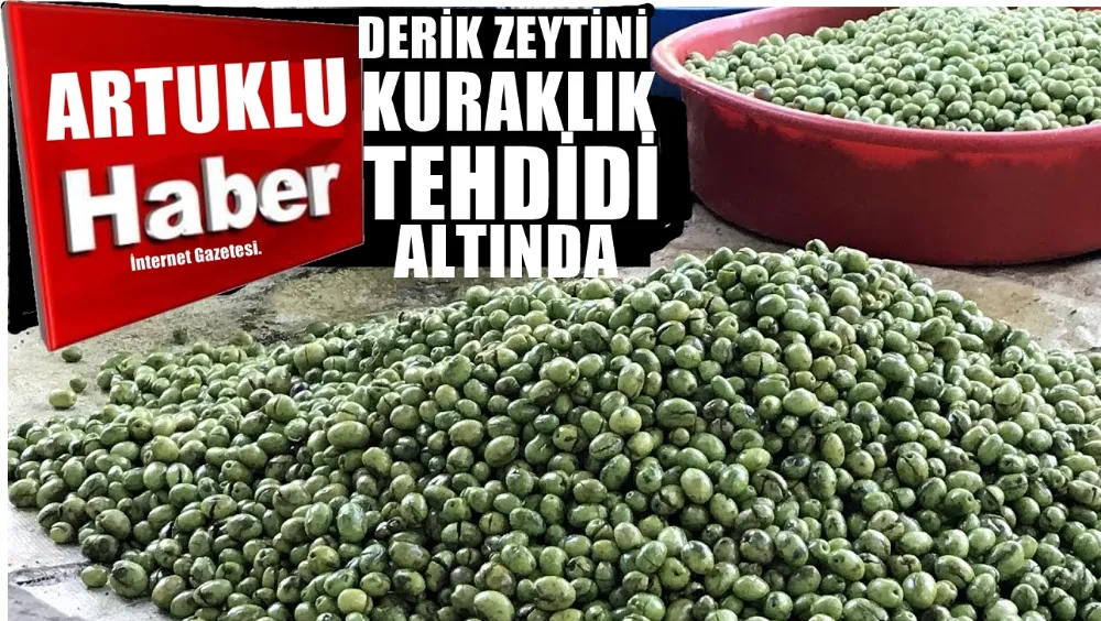 Mardin Milletvekili Beritan Güneş: 