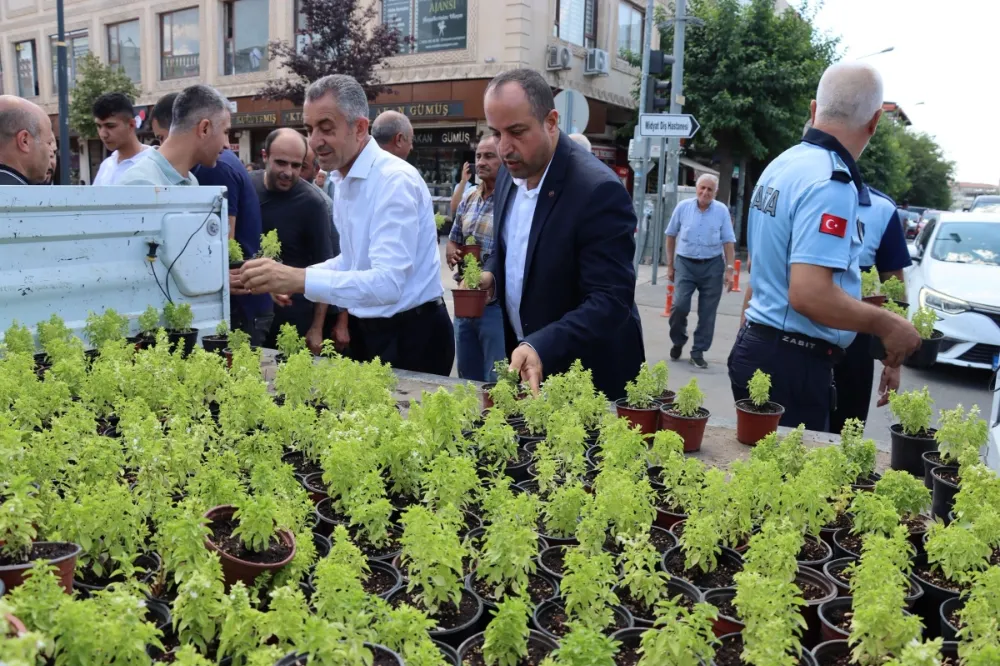 MİDYAT BELEDİYESİ VATANDAŞLARA REYHAN FİDANI DAĞITTI