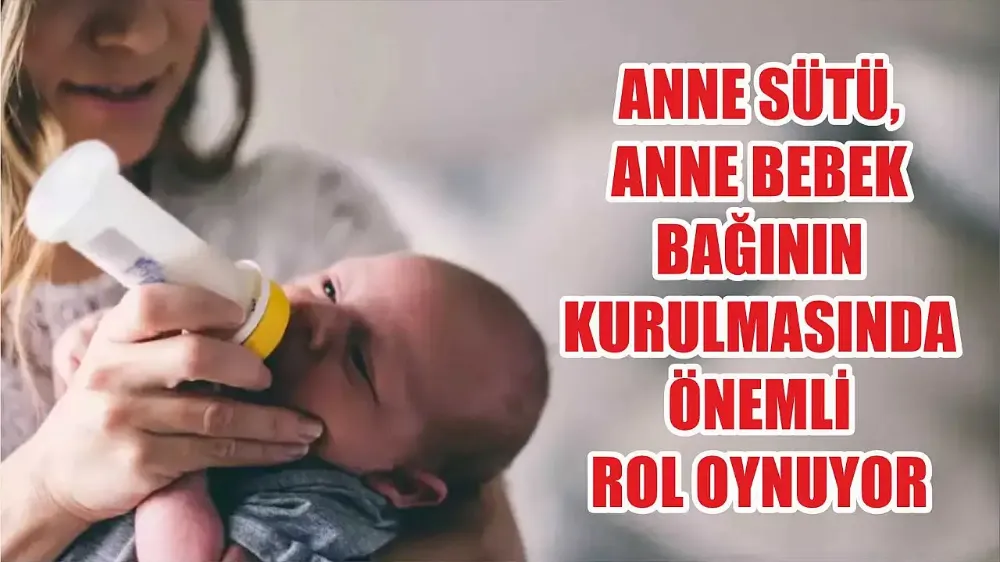 ANNE SÜTÜ HEM BEBEK HEM ANNE İÇİN ÖNEMLİ!