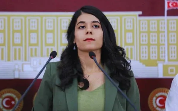 Mardin Milletvekili Beritan Güneş: 
