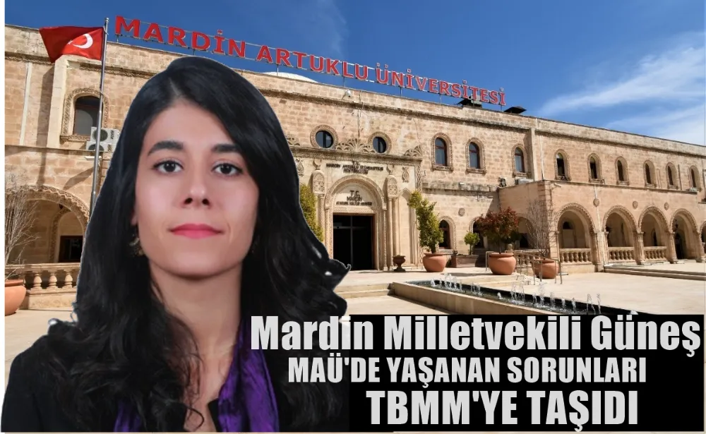 MARDİN MİLLETVEKİ,Lİ GÜNEŞ,MAÜ